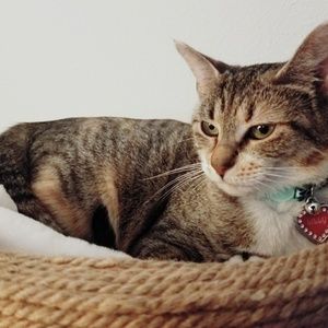 Meet your Posher, Brooke